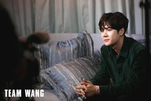 王嘉尔视频爆料大全最新,揭秘明星幕后生活点滴